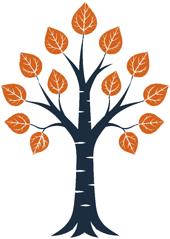 Aspen IT Group