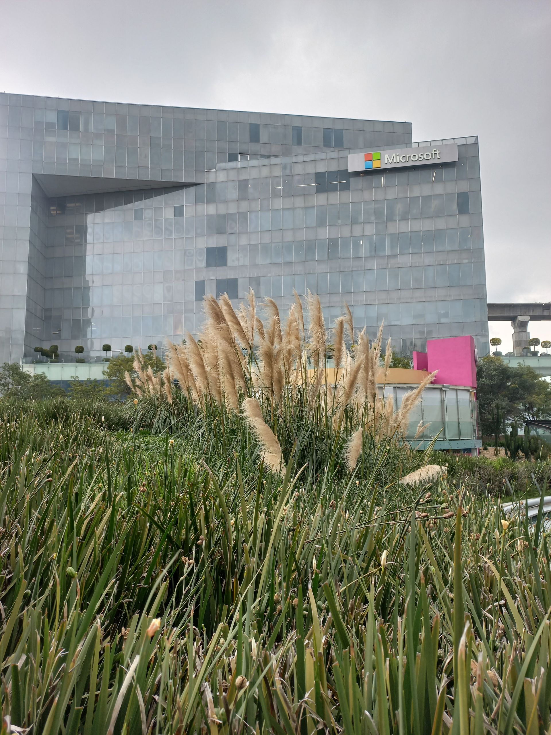 Modern Microsoft office building with lush greenery and cloudy sky in foreground.